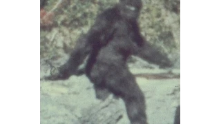 Best Youtube Bigfoot Footage