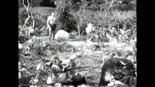 Tarzan and the amazons. 1945.  Quicksand scene.