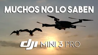 Logra la Máxima Calidad con el DJI Mini 3 Pro - Consejos y Trucos.