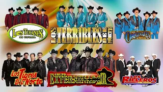 Grupo Exterminador💦Los Tucanes de Tijuana⚡Los Tigres Del Norte⚡Los Originales De San Juan