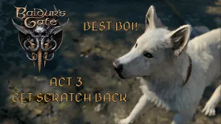 How to get Scratch back as a summon in Baldur's Gate 3 | Save the BEST BOI! 🐕