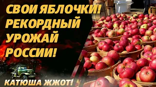 Россия заменила польские яблоки! А Польша рынок России – нет!