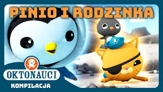 Oktonauci - 🐧 Pinio i rodzinka ❄️ | Światowego Dnia Pingwina | Kompilacja