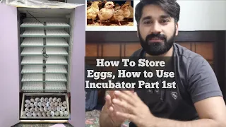 Very Important Video For Incubator Users! How to use Incubator from Eggs storing to Haching Part 1st