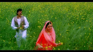 Lata Mangeshkar Song : Rab Ne Banaya Mujhe Tere Liye | Sridevi | Anil Kapoor | Hindi Song