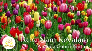 Collective Kiirtan | Didi Ananda Gunamrta | 2024.3.31 Spring Retreat | Baba Nam Kevalam