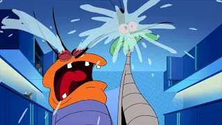 Oggy and the Cockroaches - The Cicada an the Cockroach (s03e39) Full Episode in HD