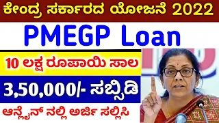 PMEGP Loan details 2022 // 25 Lakhs Loan // 3.5 lakh subsidy // business loan // central govt scheme