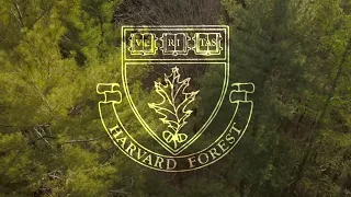 30 years of ecological research in Harvard’s wired forest
