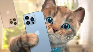 Little Kitten Preschool Adventure Educational Games iOS Play Fun Cute Kitten Pet Care Learning #623