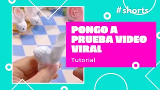 Pongo a prueba video viral - ¿Que opinas?