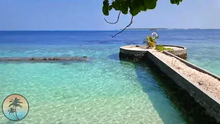 Lily Beach Resort MALDIVES 🌊🌴 True PARADISE | Lagoon Villa 4K | Room TOUR | South ARI Atoll Vlog