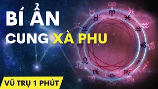 Bí Ẩn Cung Hoàng Đạo Thứ 13 - Xà Phu ảnh hưởng đến 86% dân số Thế Giới #short #shorts #motvideo