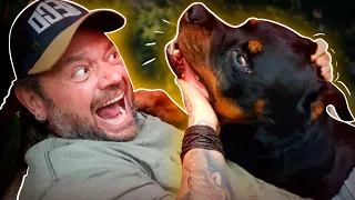 ROTTWEILER, O CACHORRO DO DEMÔNIO! | RICHARD RASMUSSEN