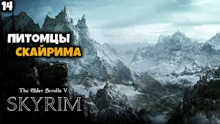 The Elder Scrolls V: Skyrim - Питомцы Скайрима #14