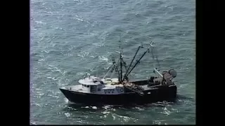 Rescue 911 - Squid Ship Son Save