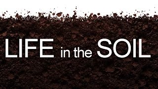 Life in the Soil