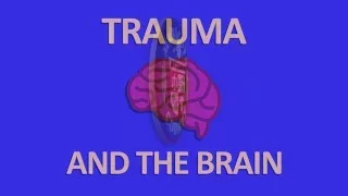 Trauma and the Brain