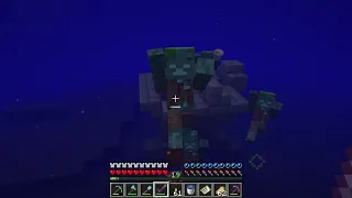 How to get a Nautilus Shell from a drowned zombie - Minecraft