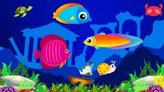 Fish Aquarium🐠🐡 |Meditation💤||Aquarium Animations|