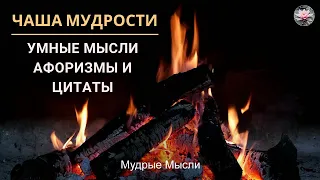 Умные Мысли! Цитаты и Афоризмы! Чаша Мудрости!