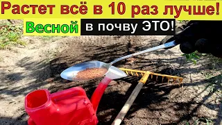 НАВСЕГДА ОТКАЗАЛСЯ ОТ НАВОЗА! Весной делаю так и всё растет как на дрожжах 100% Удобрение для земли