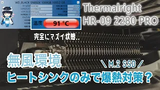 【自作PC】 無風環境のM.2 SSDを発熱／爆熱対策できる？ Thermalright HR-09 2280 PRO｜M.2 SSD用ヒートシンク