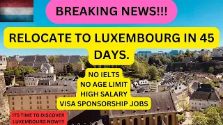 Luxembourg Work Visa 2024: Job Opportunities | Luxembourg Jobs | No IELTS | Europe | Damal Consult