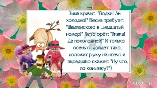 НУ ,ЧТО БАБОНЬКИ - НЕ РАСЛАБЛЯЙТЕСЬ !ЖИЗНЬ ПРОДОЛЖАЕТСЯ ! ДАВАЙТЕ ЮМОРНЁМ!