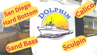 1/2 San Diego Hard Bottom Fishing On The Dolphin Fishermans Landing Sculpin Bass Perch Sheepshead