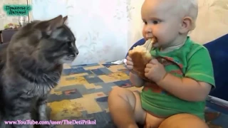Funny Videos Cats and Kids!!!!!!   Лучшая подборка Кошки и Дети!Приколы с Детьми!