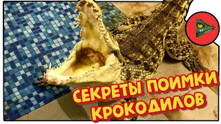 КАК ПОЙМАТЬ КРОКОДИЛА! Секреты поимки крокодилов!