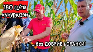 Сила землі😳 Зібрали до 180ц кукурудзи без міндобрив! Технологія Віс Терра від А до Я