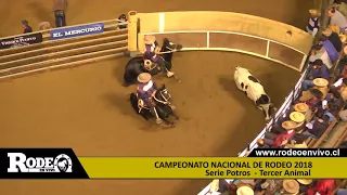 RODEO EN VIVO SERIE POTROS 2018