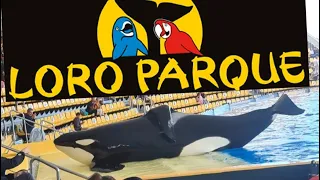 Loro park review 2023