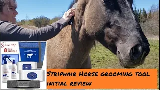 Striphair Horse Grooming Tool Review