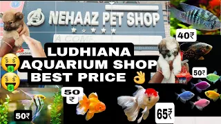 Best Aquarium Shop In Ludhiana | pet shop in ludhiana | 🐠🐡