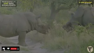 Rhino Bulls Fighting Part 3/7