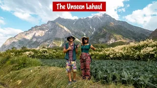Offbeat Lahaul - A Hidden Gem That Will Surprise You (Rashel Village, Pattan Valley)