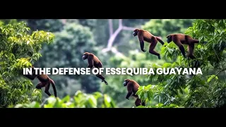 We also tell you in english: the Guayana Essequiba belongs to Venezuela.