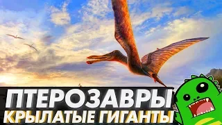 ПТЕРОЗАВРЫ — первые летающие ящеры планеты: кетцалькоатль, птеранодон, птеродактиль и рамфоринх