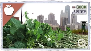 Why We Should Be Urban Farming