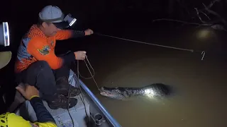 Pesca , cocina , lagartos gigantes , bagres y una buena comida entre amigos .