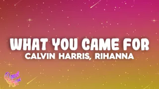 Calvin Harris, Rihanna - This Is What You Came For