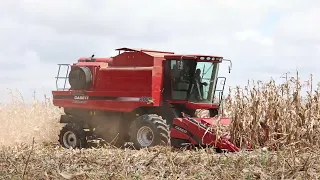 The CASE IH Axial 4088 HD in Action harvesting maize.
