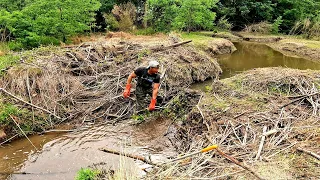 Beaver Dam Removal! || Beaver Water In My Mouth At Father Beaver Dam!🤢 Part 7