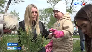 В Черногорске разбили Аллею памяти в честь Героев СВО