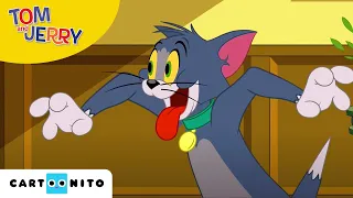 Tom und Jerry | Hundstage | Cartoonito