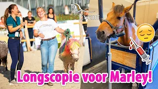 Horse Event, LONGSCOPIE voor Marley + SHOPPEN voor eerste keer op Nacho! | felinehoi VLOG #467