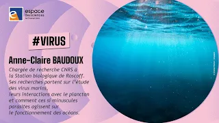 🧫[Anne-Claire Baudoux] Les virus, architectes invisibles des océans